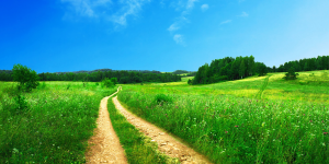 Read more about the article Transgressing the Prescribed Spiritual Path